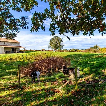 Manoir Les Touches - Concourson-sur-Layon