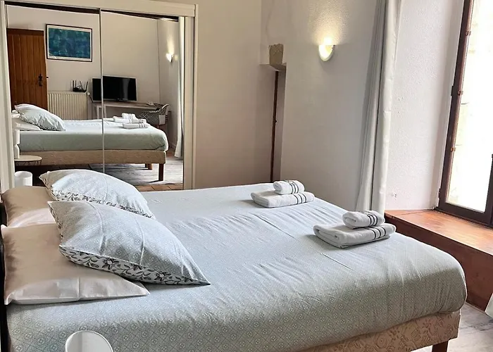 Manoir Les Touches - Bed & Breakfast Concourson-sur-Layon