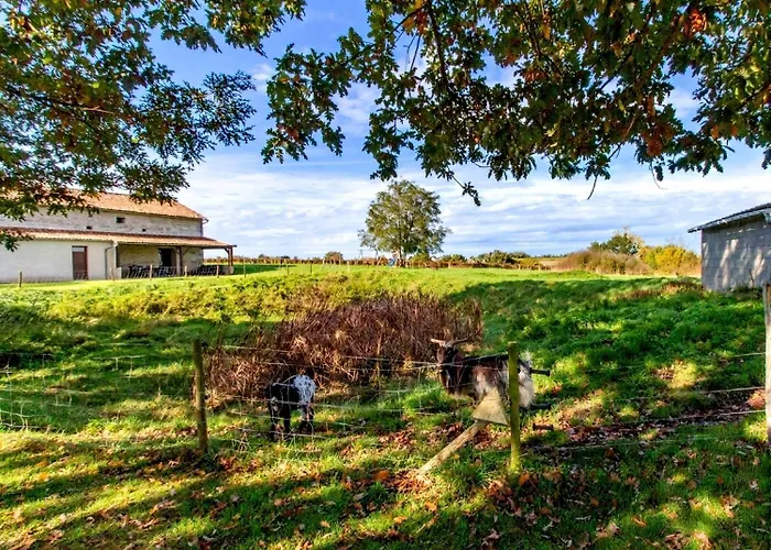 Manoir Les Touches - Concourson-sur-Layon