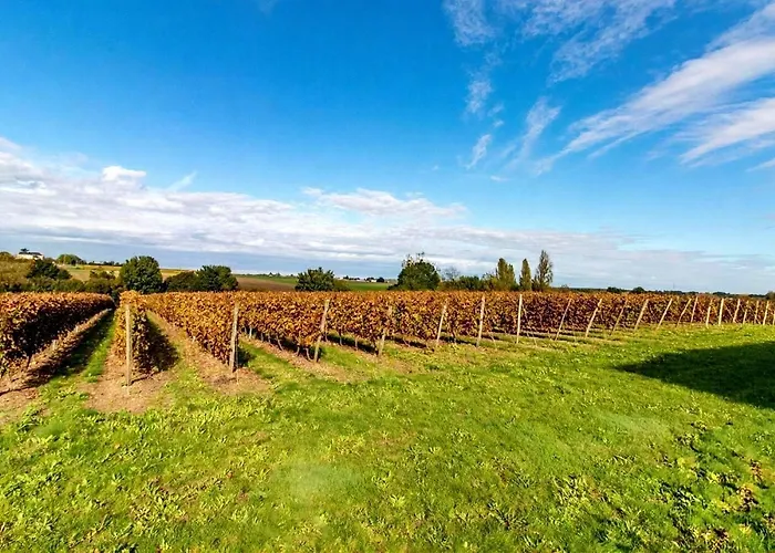 Bed & Breakfast Manoir Les Touches - *